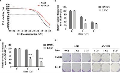 Capilliposide C from Lysimachia capillipes Restores Radiosensitivity in Ionizing Radiation-Resistant Lung Cancer Cells Through Regulation of ERRFI1/EGFR/STAT3 Signaling Pathway